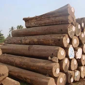 Teak Wood Logs